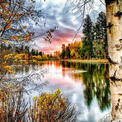 Пазл: Лесное озеро 