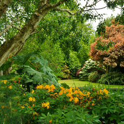 Пазл: Сад Тротта (Trott's Garden). Новая Зеландия