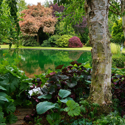 Пазл: Сад Тротта (Trott's Garden). Новая Зеландия