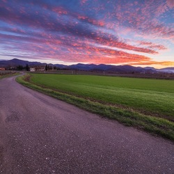 Пазл: Дорога