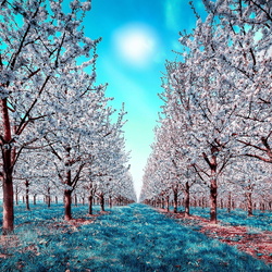 Пазл: Вишневый сад 