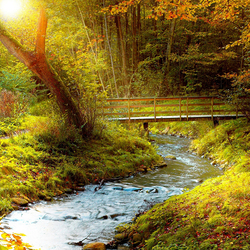 Пазл: Солнечный мост