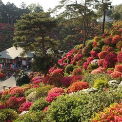 Пазл: Шиофуне Канон-дзи