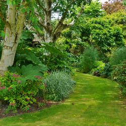 Пазл: Сад Тротта (Trott's Garden). Новая Зеландия