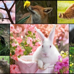 Пазл: Стало теплее