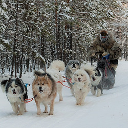 Пазл: Якутские морозы