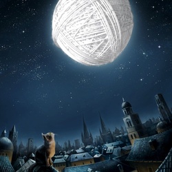 Пазл: Kitten's Dream / Мечта котенка