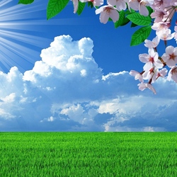 Пазл: Весна 