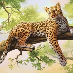 Пазл: Леопард 