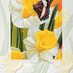 Пазл: Нарциссы