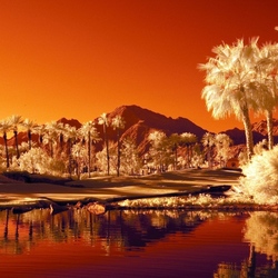 Пазл: Тропический закат 