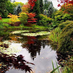 Пазл: Японский сад