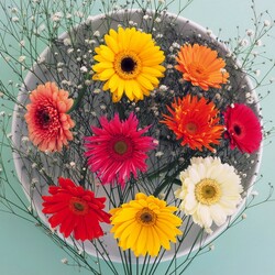 Пазл: Цветы