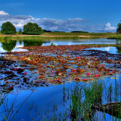 Пазл: Озеро