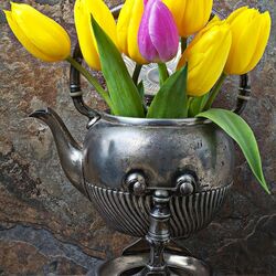 Пазл: Тюльпаны