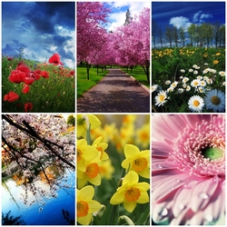 Пазл: Весна