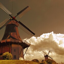 Пазл: Мельница   