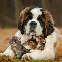 Пазл: Нянька   