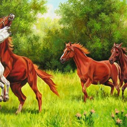 Пазл: Лошади 