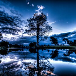 Пазл: Деревья у озера  