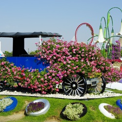 Пазл: Праздник цветов