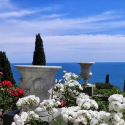 Пазл: Алупкинский парк