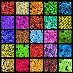 Пазл: Коллаж