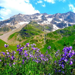 Пазл: Весна в горах