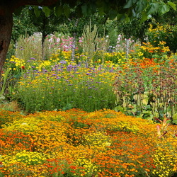 Пазл: Цветы в саду 