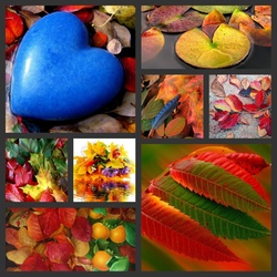 Пазл: Осенние мотивы