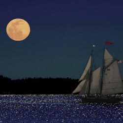 Пазл: Ночная прогулка 