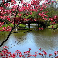 Пазл: Весна