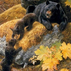 Пазл: Медведи