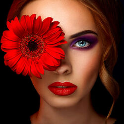 Пазл: Гербера