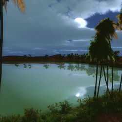 Пазл: Тропическая ночь  