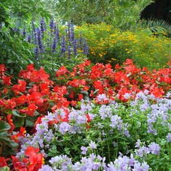 Пазл: Цветы в парке