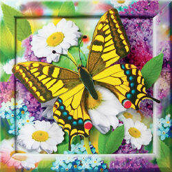 Пазл: Золотистая бабочка