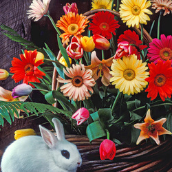 Пазл: Праздничный букет