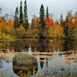 Пазл: Озеро