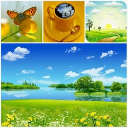 Пазл: Доброе утро!