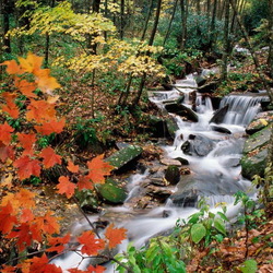 Пазл: Водопад