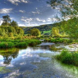 Пазл: Какое все зеленое