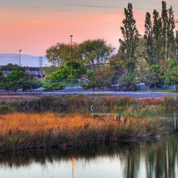 Пазл: У реки