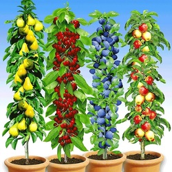 Пазл: Летнее изобилие