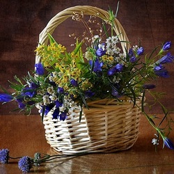 Пазл: Лесные цветы