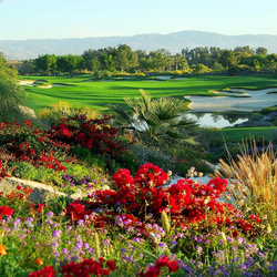 Пазл: Цветник    