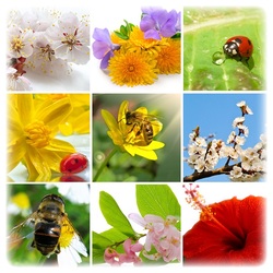 Пазл: Весна красна