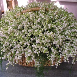 Пазл: Ароматная корзинка