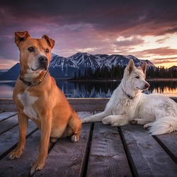 Пазл: На пирсе     