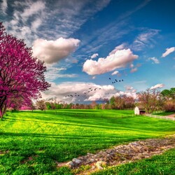 Пазл: Весна    